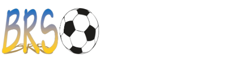 Birch Run Soccer